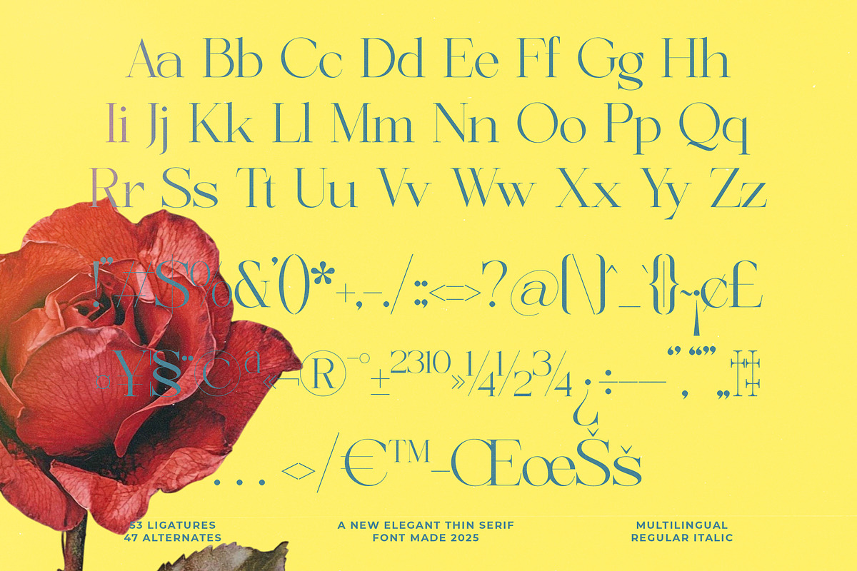 Briglo Shade Elegant Thin Serif, a Serif Font by timelesstype.co (Photo 13 of 15)
