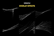 200+ Spider Web Overlays, a Nature Photo by Mikel Blazgad (Thumbnail 2 of 10)