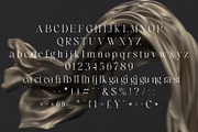 Leguna Ectaca - Modern Chic Serif, a Serif Font by Jimoji (Thumbnail 10 of 10)