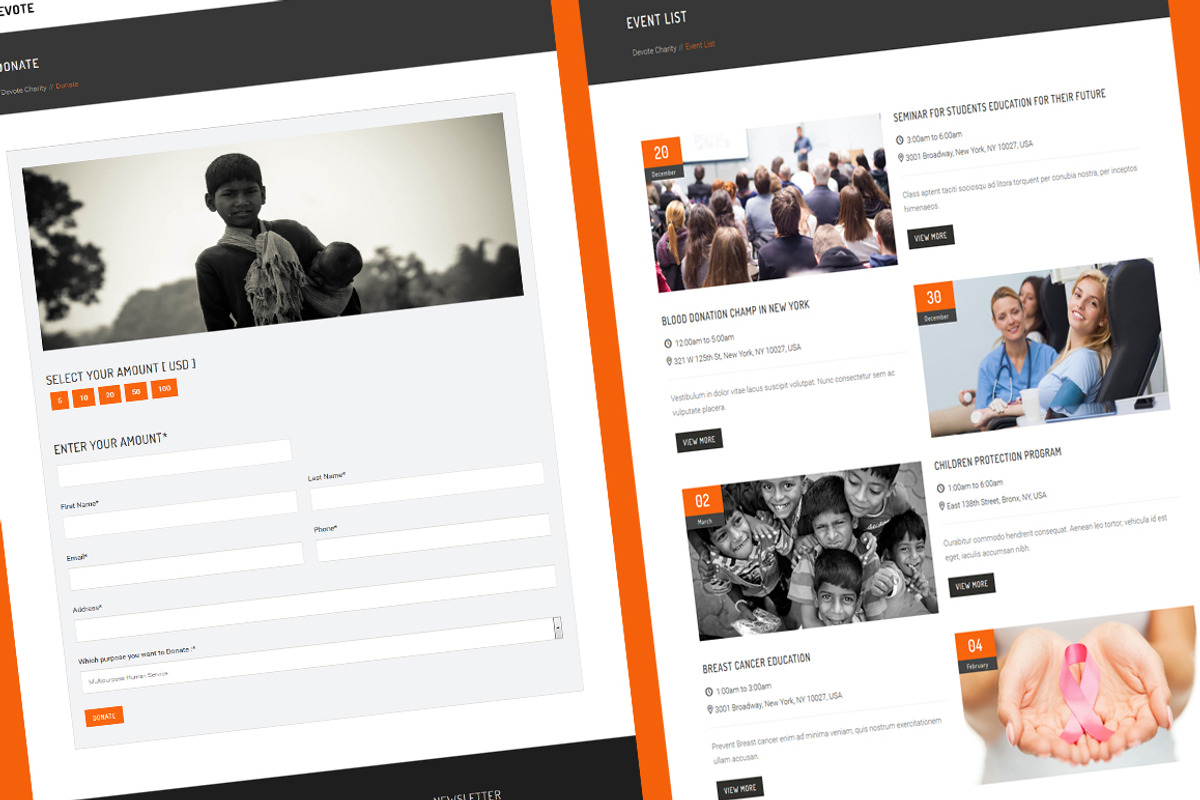 Devote - Chairty Wordpress Theme, a WordPress Template by TheGenius (Photo 4 of 4)