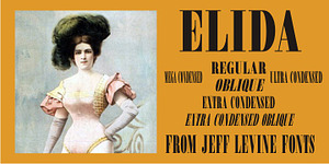 Elida JNL