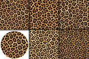 Realistic Leopard Print Fur Texture, a Pattern Graphic by Artonix (Thumbnail 2 of 3)