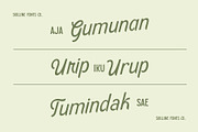 SFC Country Fairway, a Script Font by Skilline Supply Co. (Thumbnail 6 of 11)