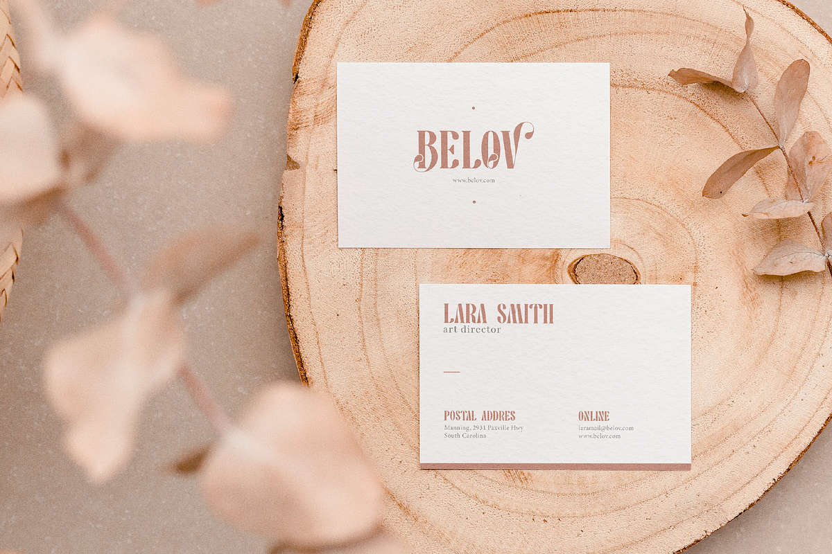 Pany Anemov | Modern Display Serif, a Font by Denustudios (Photo 12 of 15)