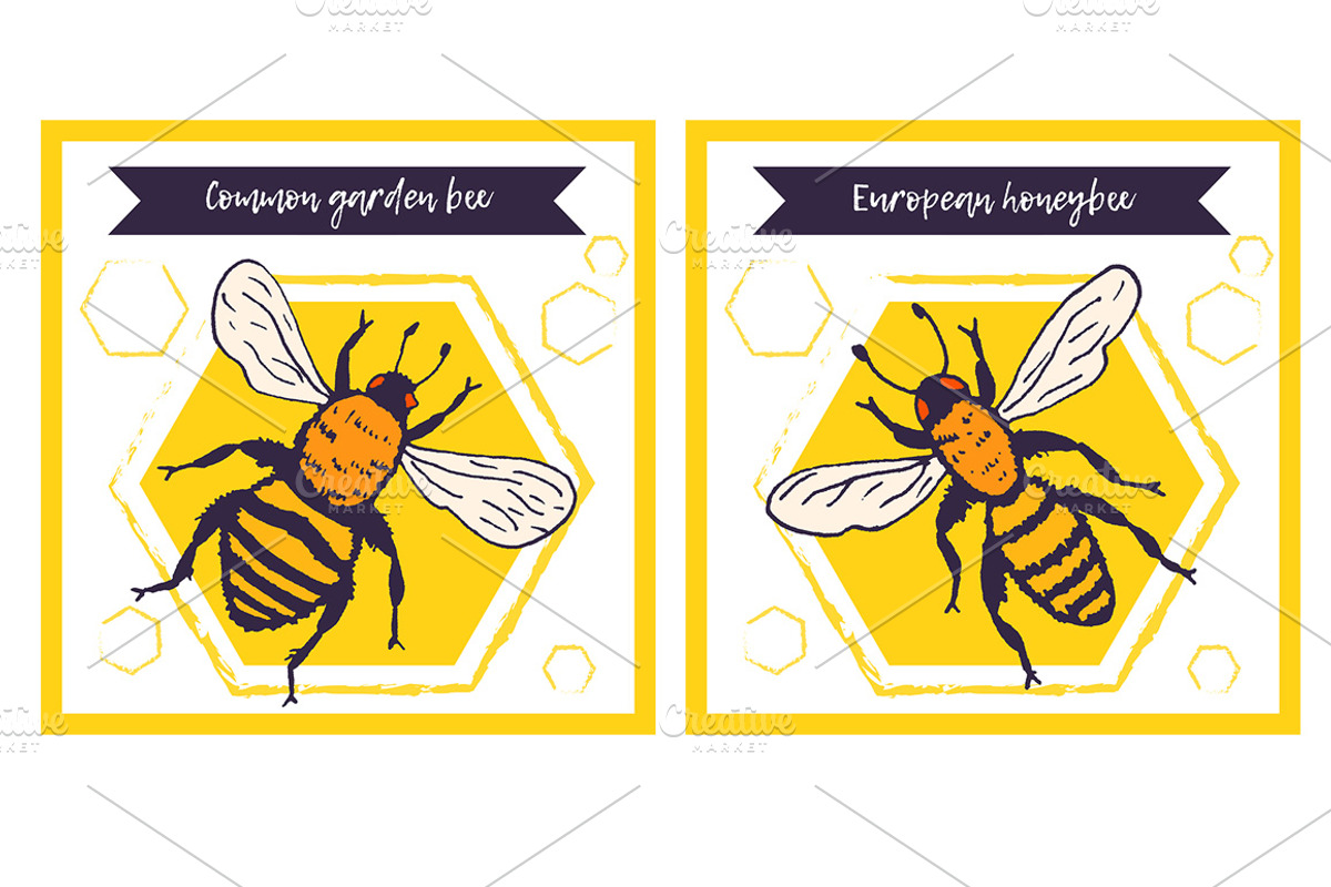 Bees set, illustrations + patterns, an Animal Illustration by OKart.studio (Photo 3 of 6)