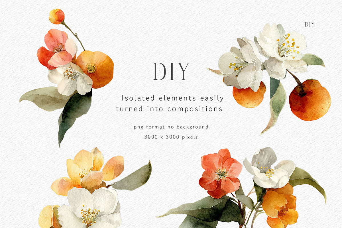 Watercolor Mandarin Clipart Set, a Decorative Illustration by ThaismotaCreativeCo (Photo 10 of 13)