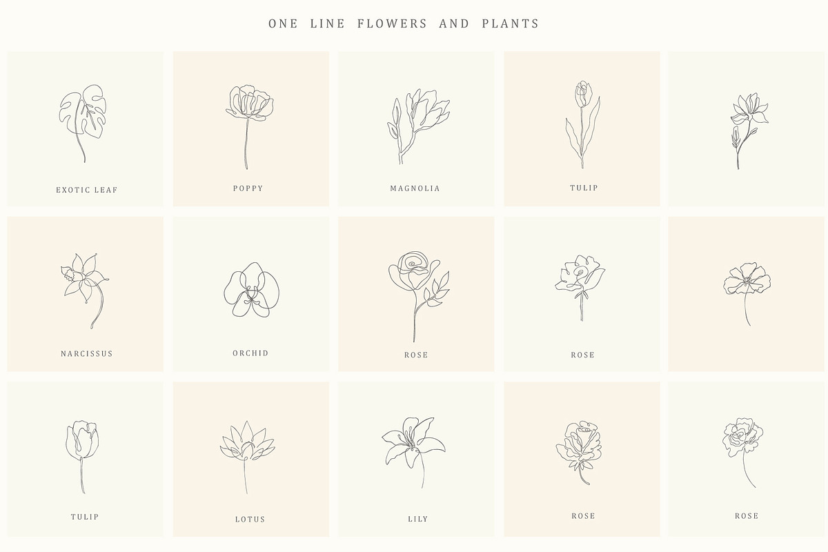 Botanical Hand Drawn Designs, Logos, a Seasonal Illustration by Designwork (Photo 10 of 22)