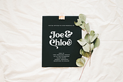 Transcity - A Playful Serif, a Serif Font by Dharmas Foundry (Thumbnail 8 of 16)