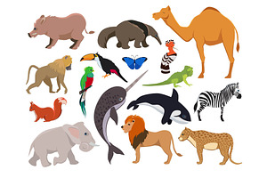 Zoo Wild Animals. Cute Vector