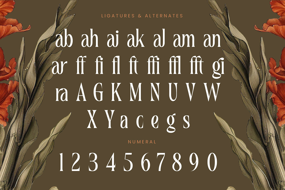 Magiora Tall Modern Serif Font, a Serif Font by timelesstype.co (Photo 18 of 20)