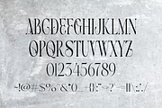 ALEGRO, a Serif Font by jaffana.co (Thumbnail 4 of 4)