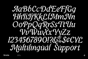 Mezarou, a Script Font by Aluyeah Studio (Thumbnail 7 of 15)