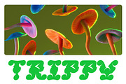 CS Maize Rippled, a Serif Font by Craft Supply Co. (Thumbnail 6 of 8)