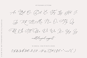 Darling Modern // Luxury Font, a Script Font by PeachCreme (Thumbnail 24 of 29)