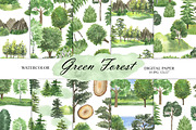 Watercolor Green Trees Clipart, an Illustration by OlDm_Shop (Thumbnail 6 of 8)