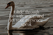 Thamy Elegant Serif Font, a Serif Font by Perfectype (Thumbnail 4 of 8)