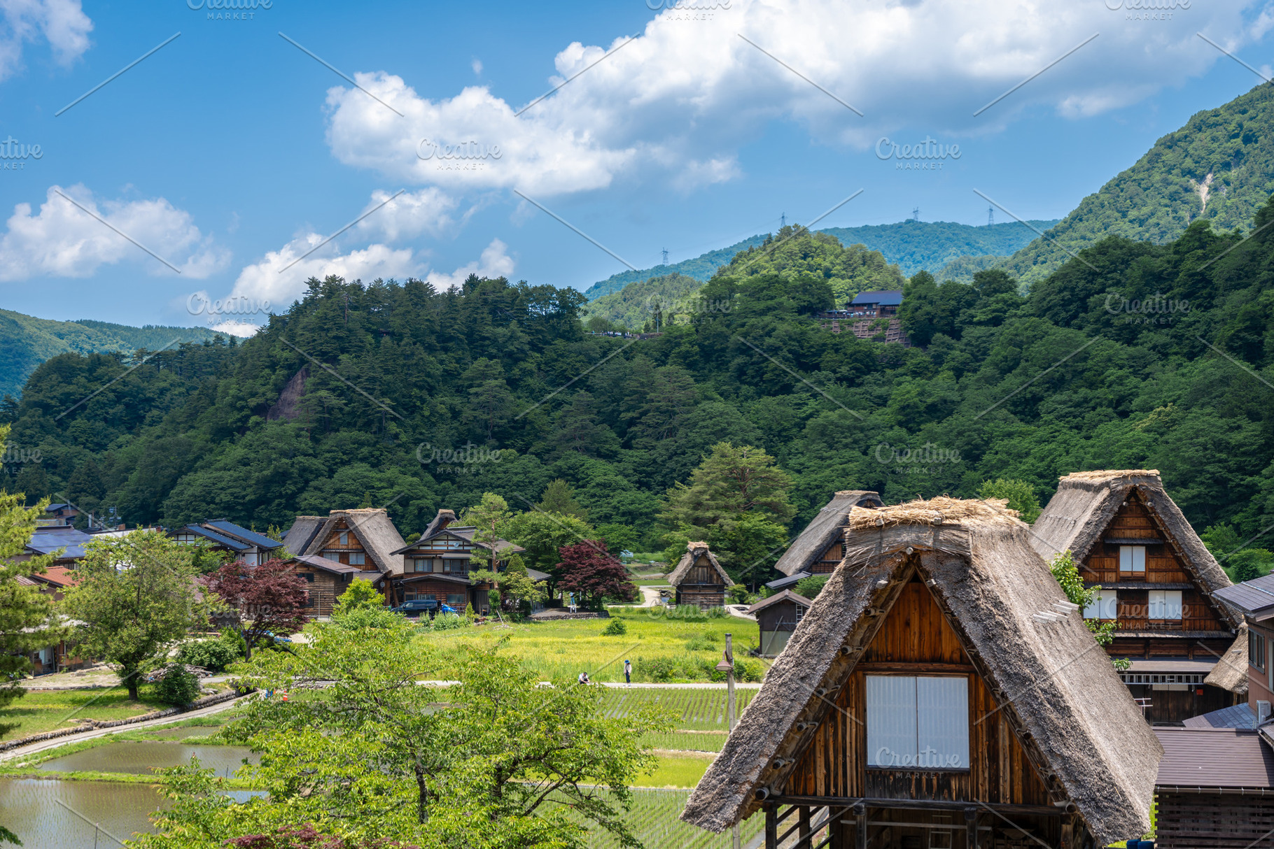 Traditional rice fields and gassho houses in Shirakawa-go villag, an Architecture Photo by GoodGoods
