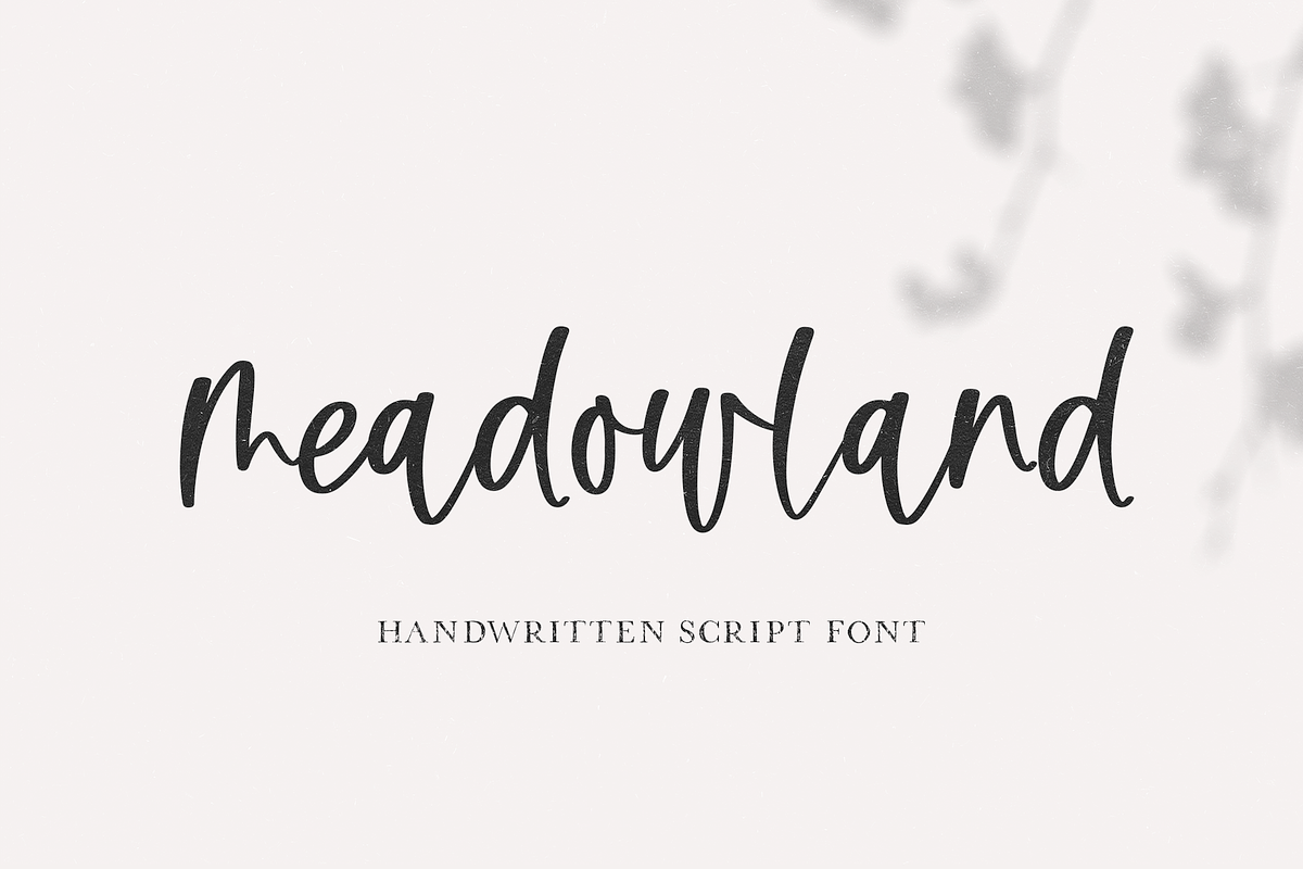 Meadowland | Modern Script Font, a Script Font by KA Designs (Photo 1 of 8)