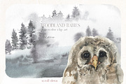Woodland Babies Wild Animals Clipart, an Animal Illustration by whiteheartdesign (Thumbnail 8 of 28)
