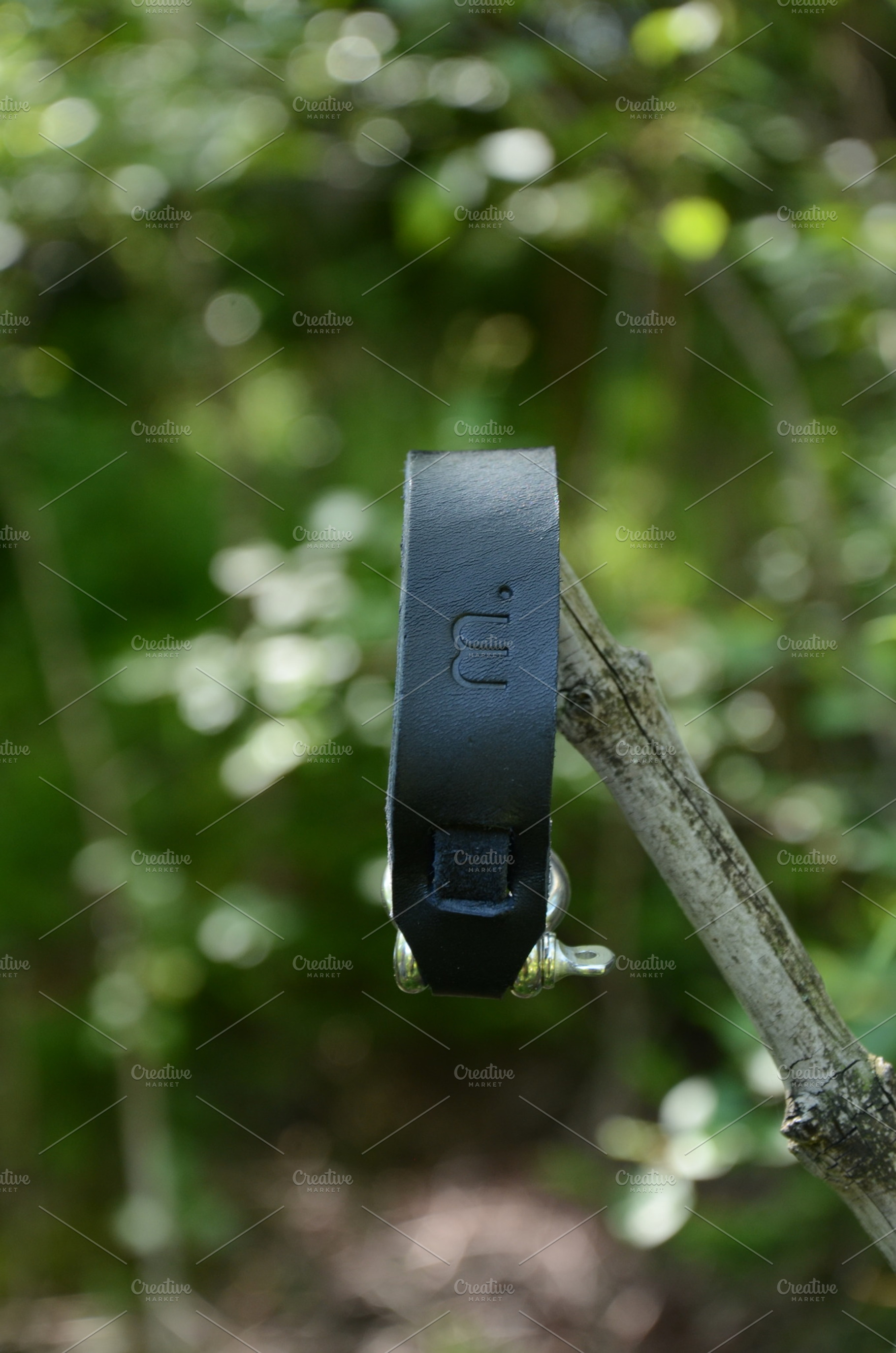 Black Leather Bracelet on a branch