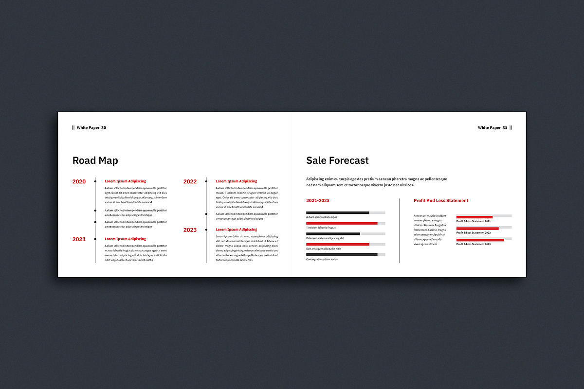 White Paper Template, a Brochure Template by ArtisticLand (Photo 7 of 11)