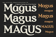 Magus - Serif font family, a Serif Font by Artistic & Unique (Thumbnail 5 of 15)