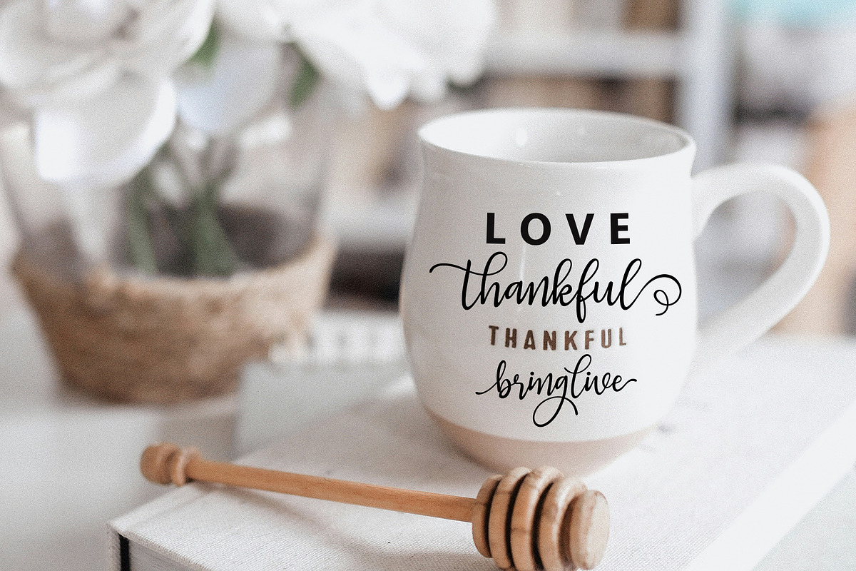 Bring live, a Script Font by Sulthan Studio (Photo 9 of 9)