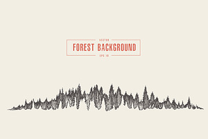 Pine Forest Background