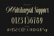Cerova, a Serif Font by saemoon creative (Thumbnail 9 of 15)