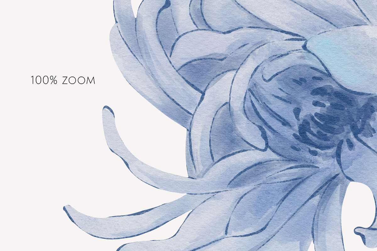 NAVY BLUE GARDEN watercolor flowers, a Decorative Illustration by Yuliia Lashevska (Photo 7 of 14)