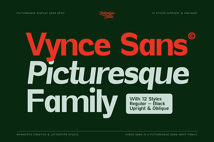 Vynce Sans Family | Intro 60% OFF