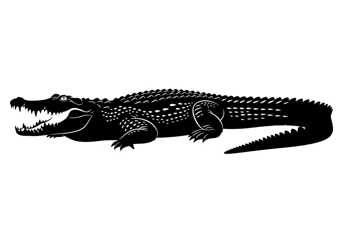 Crocodile Alligator Vector Bundle, an Illustration by jahid234 (Photo 8 of 51)