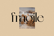 New York, a Serif Font by nevsky.type (Thumbnail 14 of 14)
