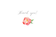 Watercolor peonies, an Object Graphic by Anastasia Timosch (Thumbnail 9 of 9)