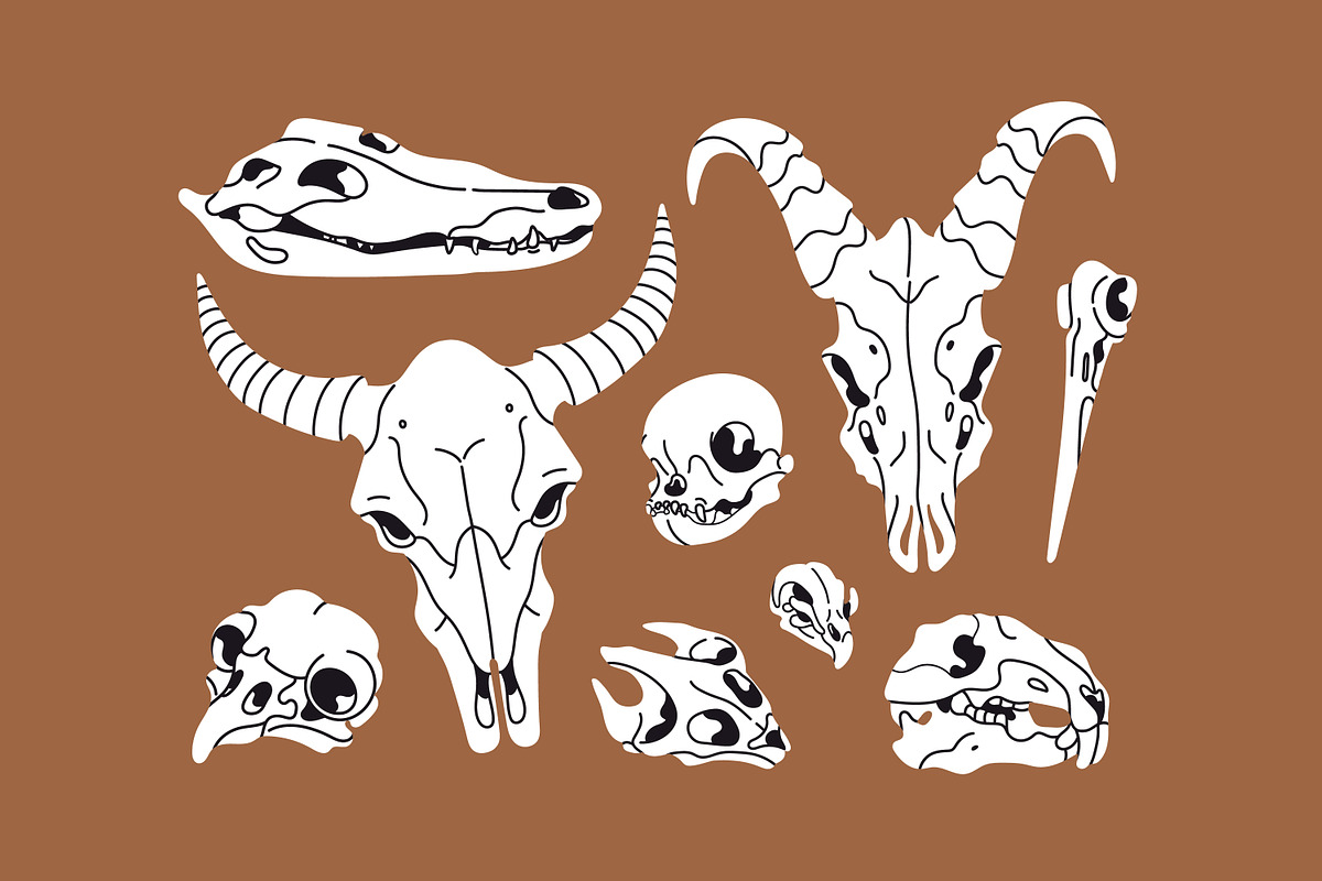 Different animals skulls, bones set, an Animal Illustration by PaperTrident (Photo 3 of 3)