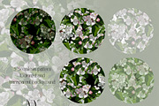 Apple Blossom - Botanical pattern, a Pattern Graphic by NNclipart (Thumbnail 7 of 12)