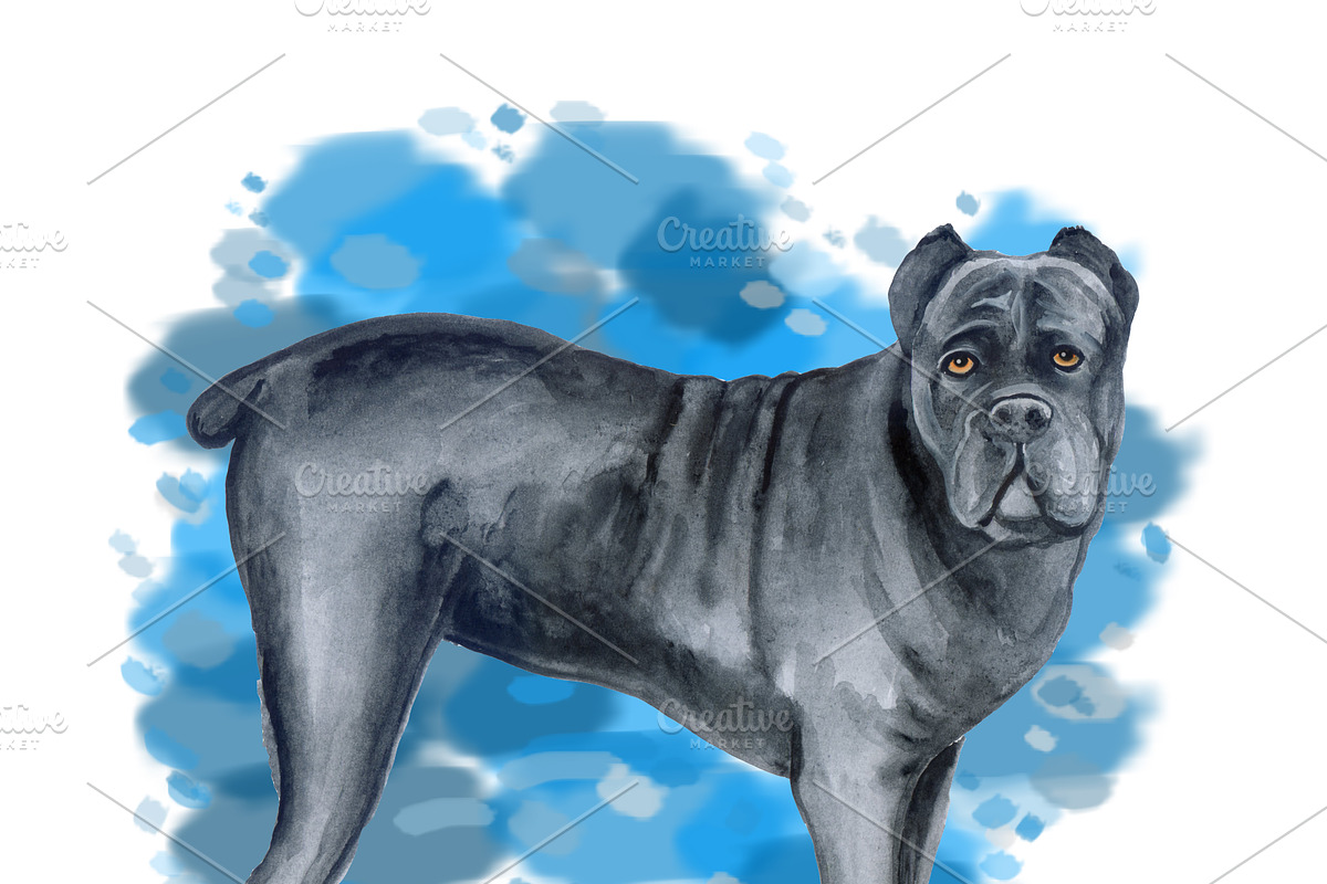 Watercolor Dogs Mega Big Bundle, an Illustration by Dneprstock (Photo 14 of 60)
