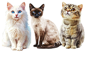 Watercolor Cat Breeds – Volume 1, an Animal Illustration by PrintHaven Designs (Thumbnail 6 of 10)