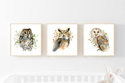Watercolor Owls set, an Animal Illustration by Nastilustra (Thumbnail 4 of 4)