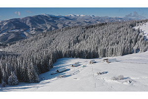 Winter wonderland showcasing snowy, a Nature Photo by Goinyk