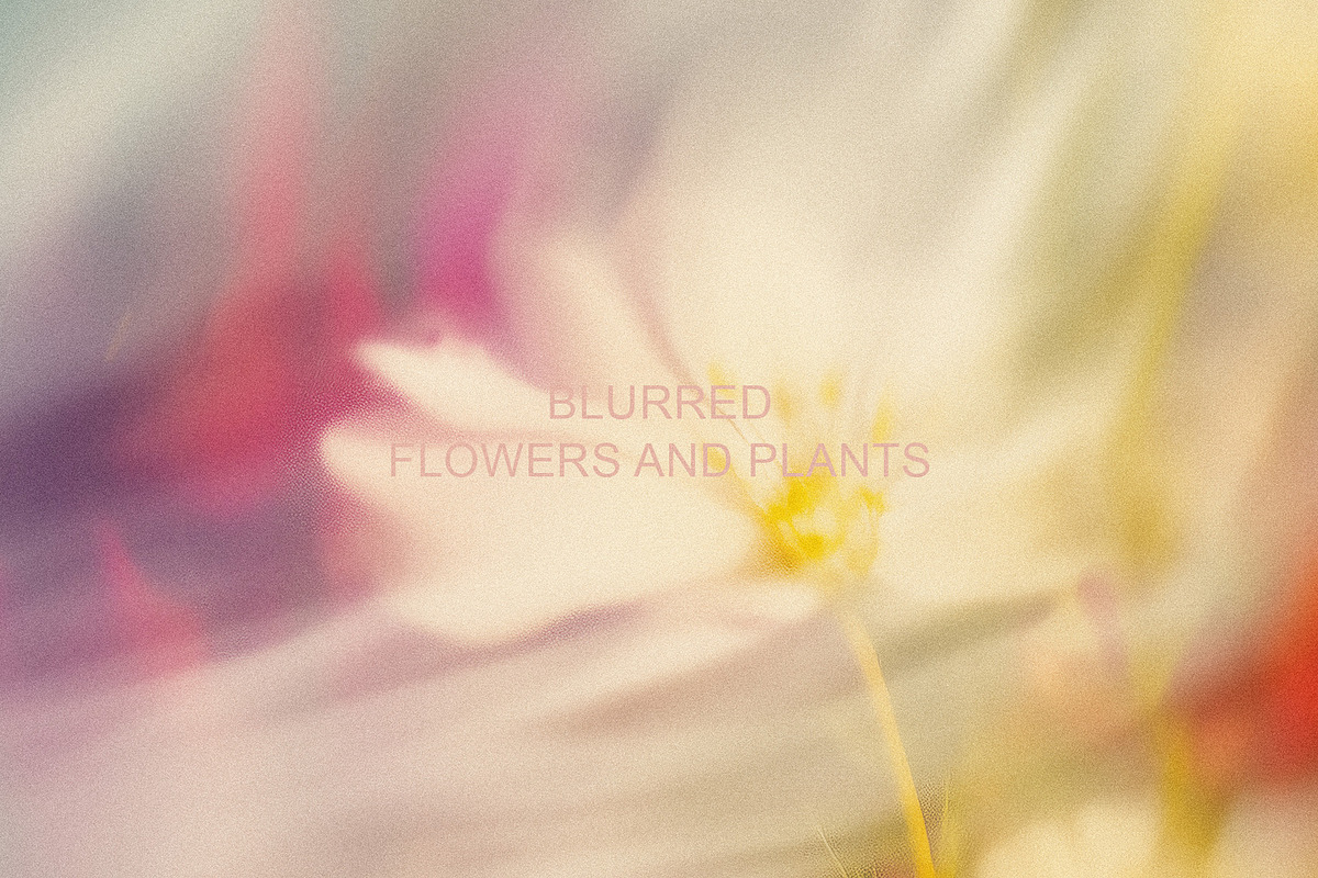 Light Flora Collection, a Background Graphic by NKate (Photo 12 of 12)