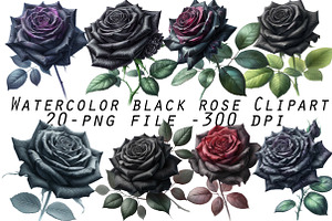 Watercolor black rose Clipart, an Illustration by Designworld