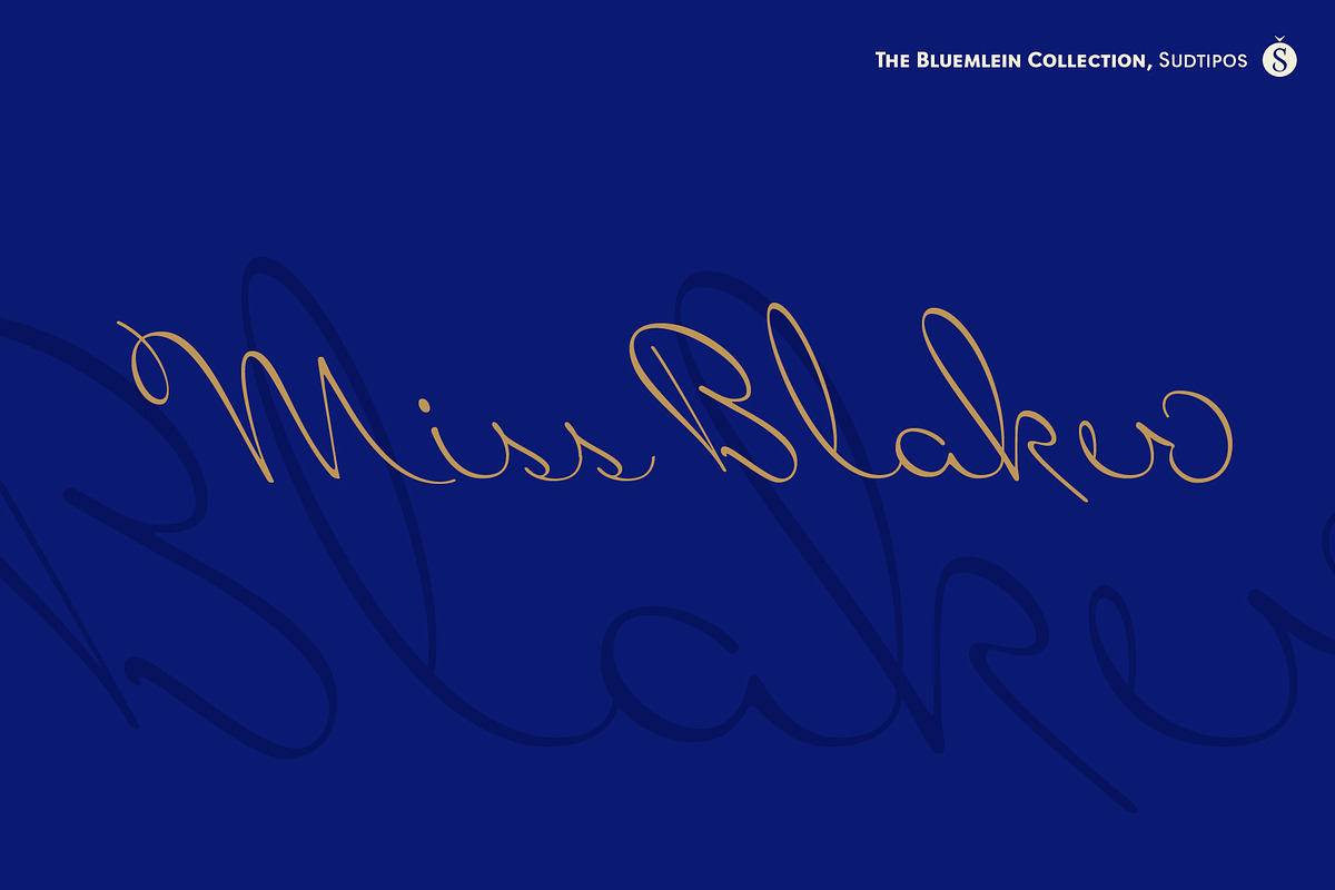 Miss Blaker Pro