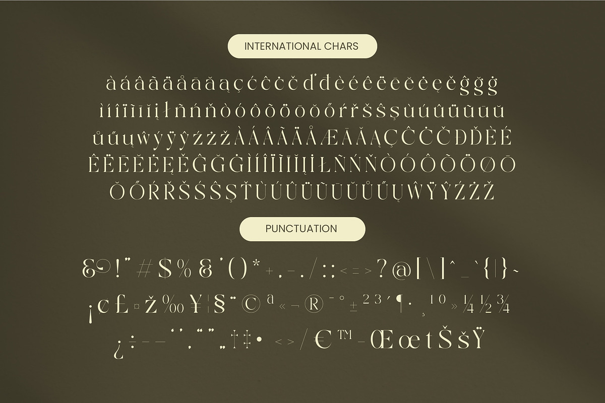 Qaisar Elegant Modern Serif, a Serif Font by timelesstype.co (Photo 19 of 20)