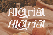 Aletriat Modern Serif Font, a Serif Font by Storytype Studio (Thumbnail 11 of 15)