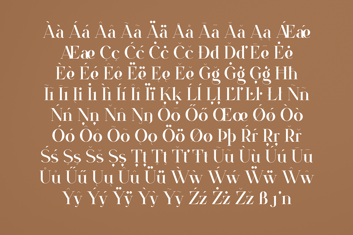 VSOP - elegant serif, 70 fonts, a Serif Font by VP Fonts (Photo 14 of 21)