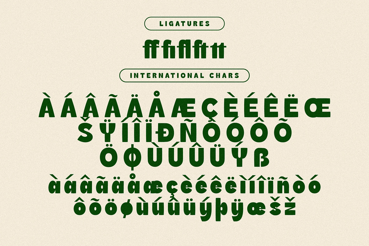 Heatrix Sans Serif Display, a Sans Serif Font by Storytype Studio (Photo 13 of 15)