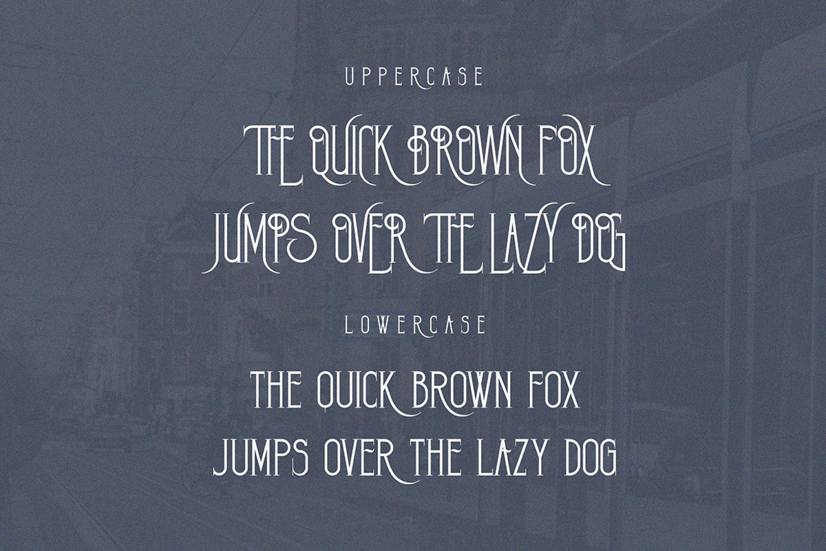 Lemon Tree Vintage Condensed Serif, a Serif Font by JumboDesign (Photo 2 of 6)
