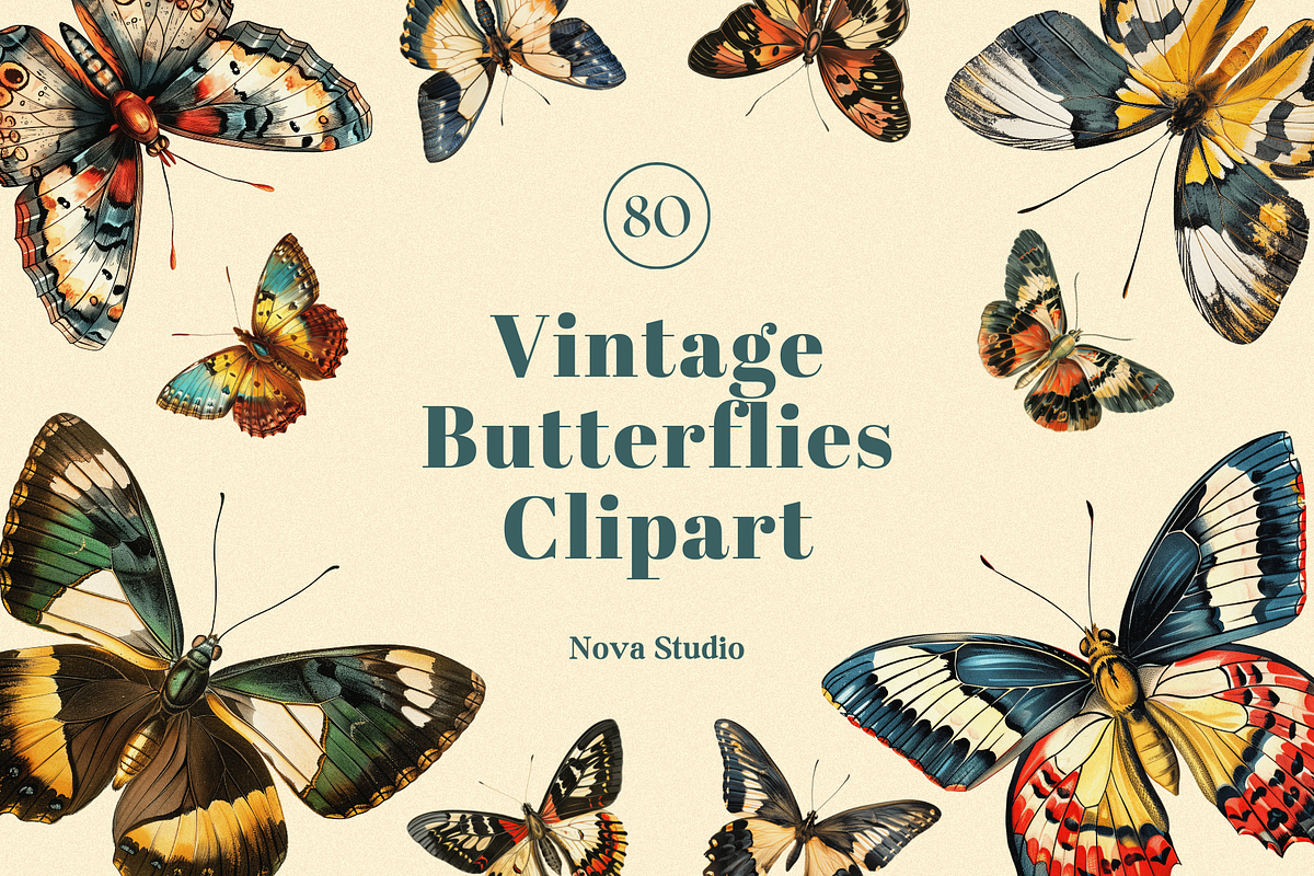 80 Vintage Butterflies Clipart, an Object Graphic by Nova Studio (Photo 1 of 7)