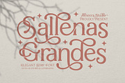 Sallenas Grandes|Elegant Serif Font, a Serif Font by Almeera Std (Thumbnail 1 of 9)